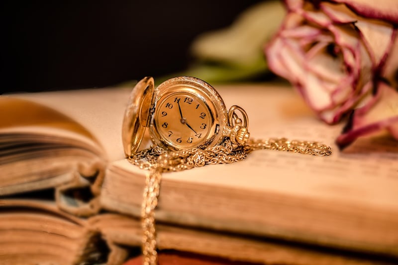 Time-Traveling Historians